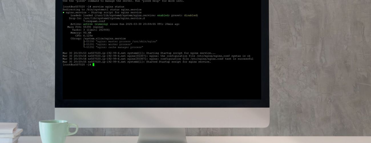 Checking Apache and Nginx Status in Plesk