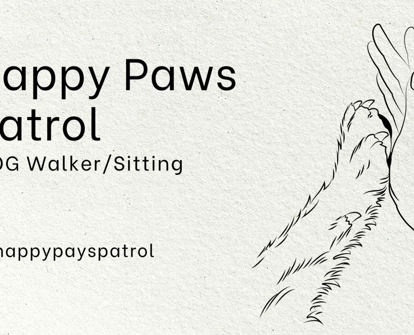 How to Start a Pet Sitting & Dog Walking Business
